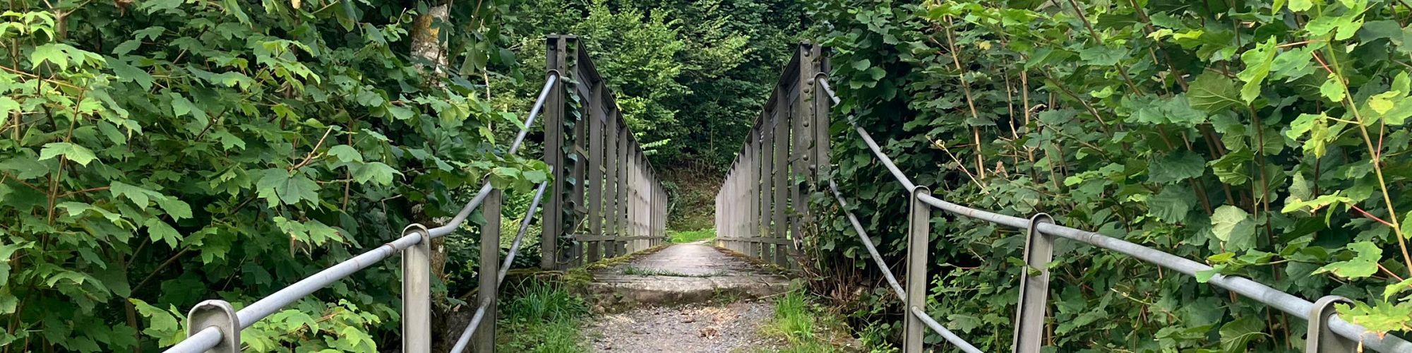 Holzsteg über einen Teich